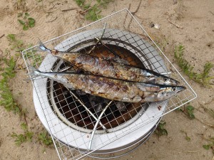 IMG_3077